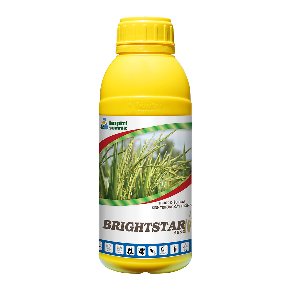 Brightstar 25SC thuốc điều hòa sinh trưởng cây trồng